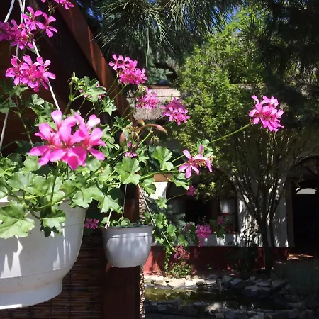 öregház 1839 Csopak